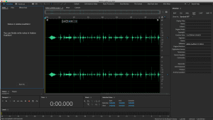 Software Adobe Audition para grabar