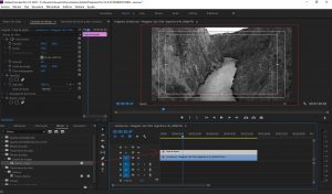 Colocar efecto blanco y negro con Premiere