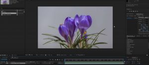 Pasos para cambiar color objeto after effects