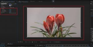 Pasos para cambiar color objeto after effects
