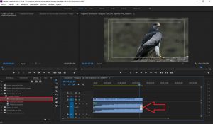 Fade Out desde efectos en Premiere